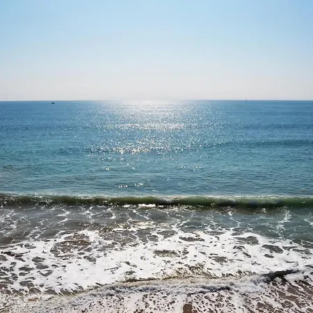 Rocha Premium By Algest * Portimão